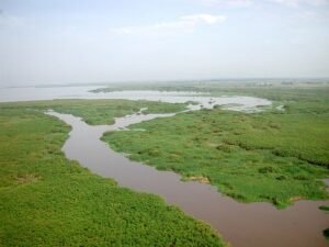 Nutrition Support for Flood Victims in Nyando