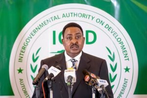 IGAD Chief Congratulates Somalia's New Foreign Minister Amid Cabinet Reshuffle
