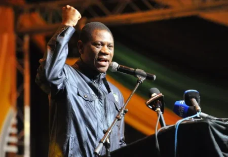 Mashatile Calls for African Unity and Global Fairness at T20 Dialogue in Pretoria