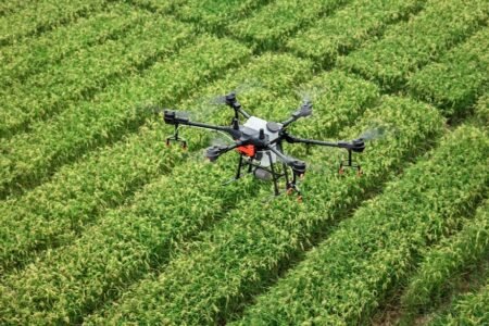 Burundi Farming App Helps Farmers Boost Crop Yields