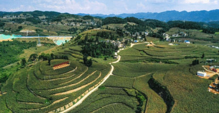 City of Sorghum