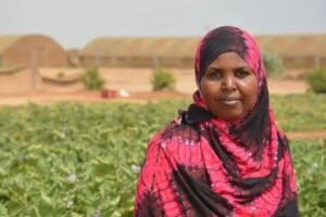 Djibouti Women Reclaim Land and Future with Climate Project Support