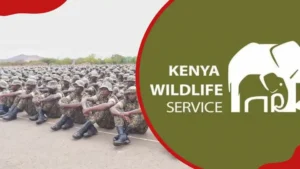 Kenya Wildlife Service