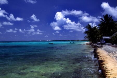 Tuvalu Still Fights | An Island Nation Faces the Rising Sea