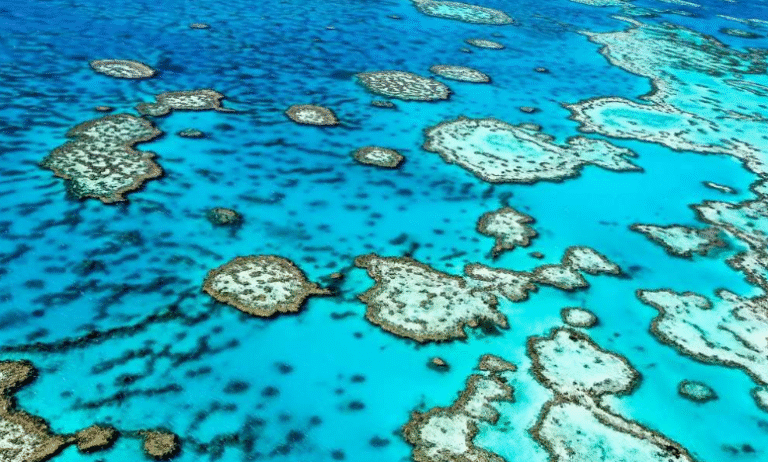 Australia’s Travel Boom to Hit $315BN in 2025
