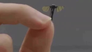 China's Mosquito Drone Technology Could Change Warfare