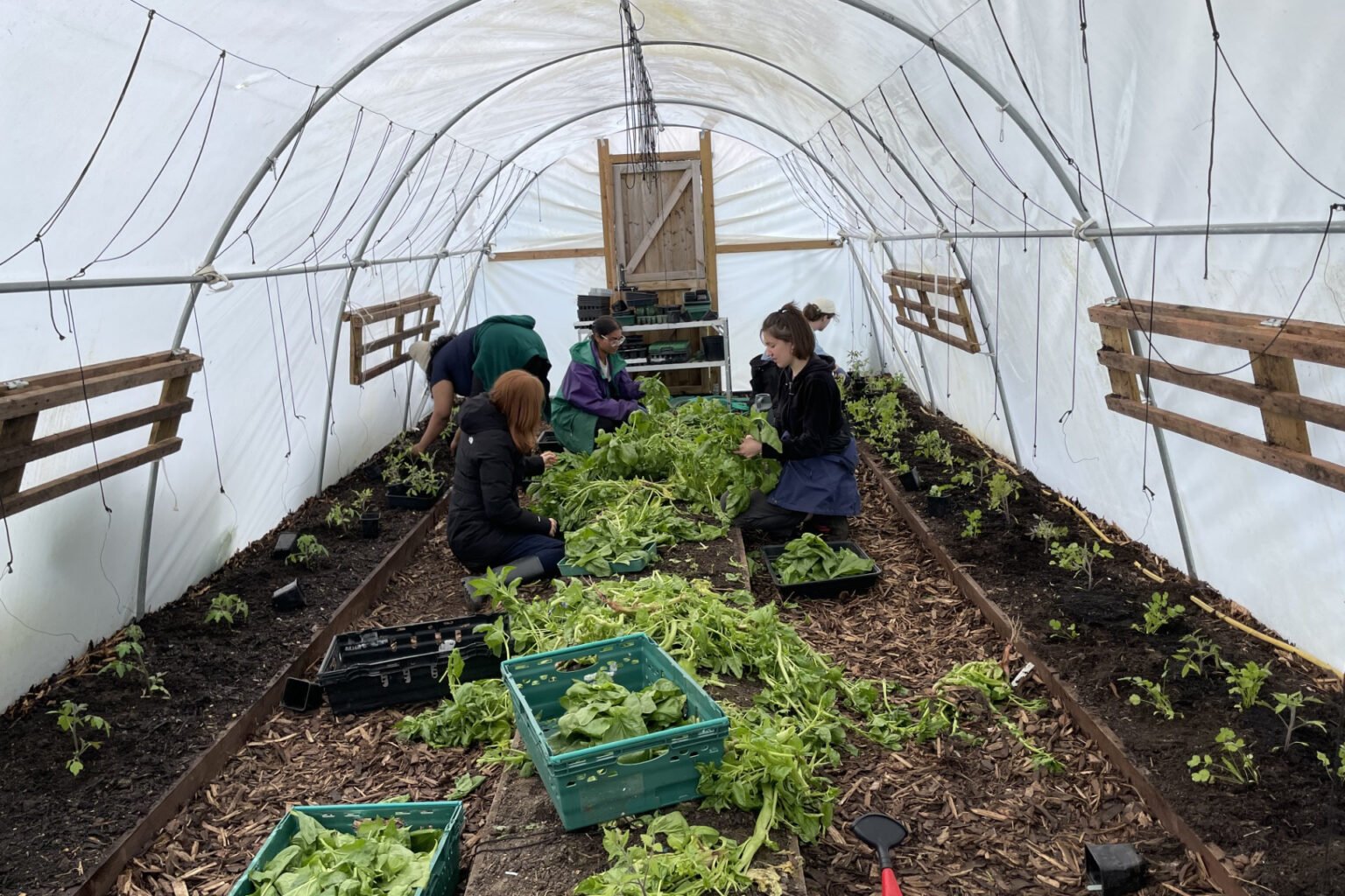 Community Oasis Garden