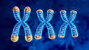 Cut Brain Disease Risk with Healthier Lifestyles Now!