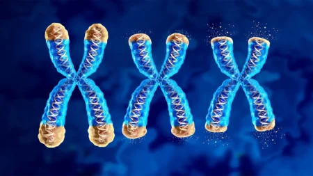 Cut Brain Disease Risk with Healthier Lifestyles Now!