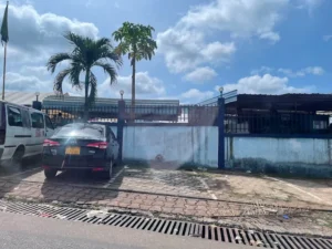 Egyptian-Gabonese Hospital