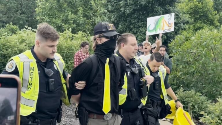 Elijah Millar Arrested at Protest with Gun and Extremist Symbols
