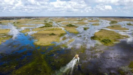 Florida Builds ‘Alligator Alcatraz’ Migrant Centre in Everglades