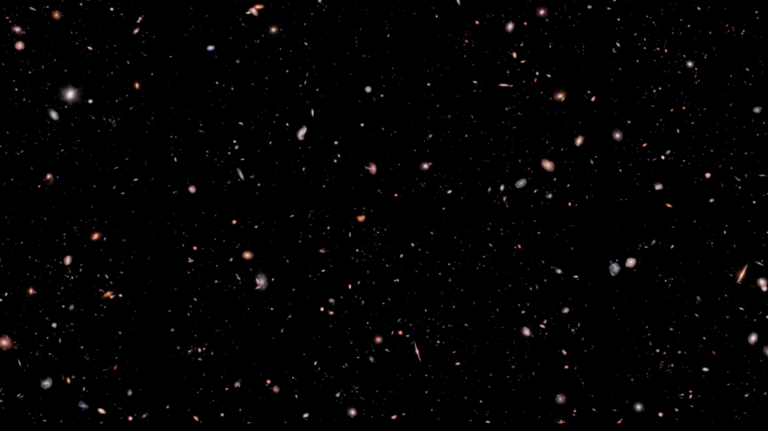 James Webb Telescope Reveals 5000 Galaxies in 3D Flythrough