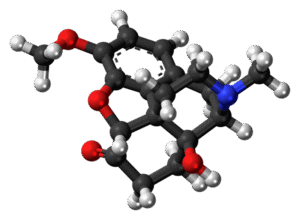 OxyContin
