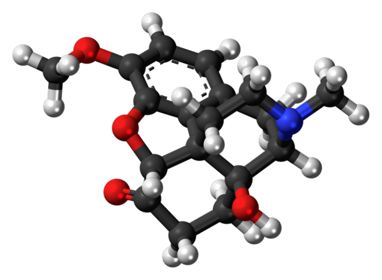 OxyContin