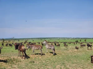 Serengeti National Park