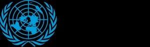 United Nations Security Council
