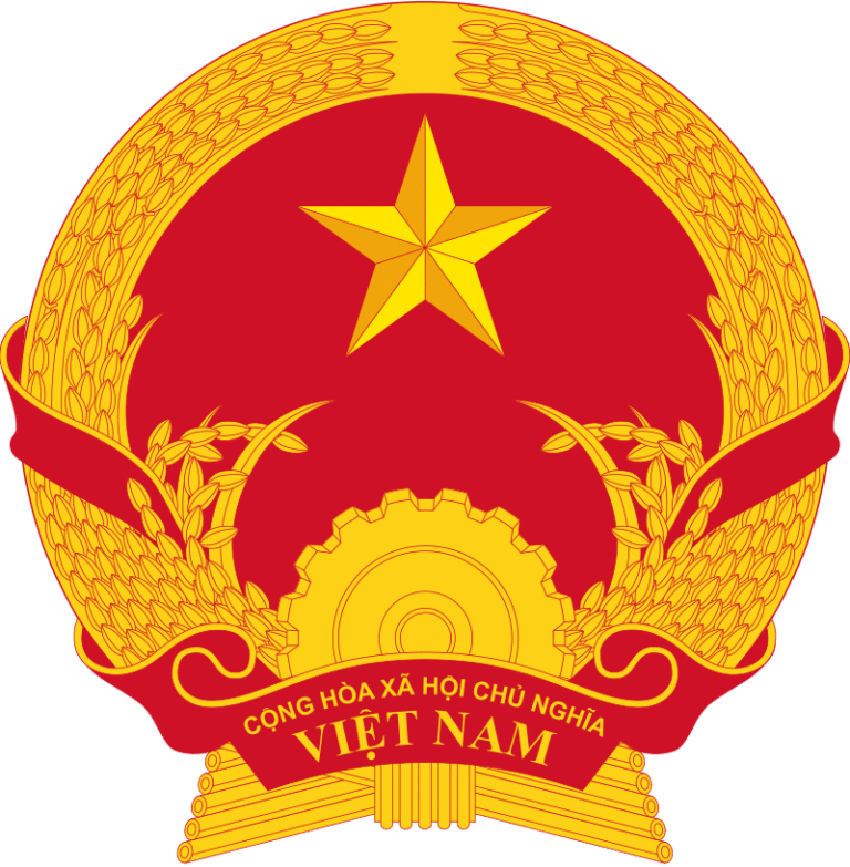 Vietnamese government