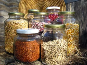 seed bank