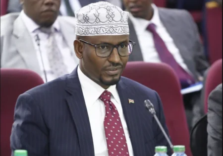 Wajir Governor Ahmed Abdullahi
