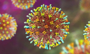 38-Year-Old Kerala Woman Tests Positive for Nipah Virus