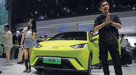 BYD Delays Mexico Plant Over Trump Trade Tensions