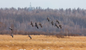 Fenglin County Wins Natural Landscape Tourism Award