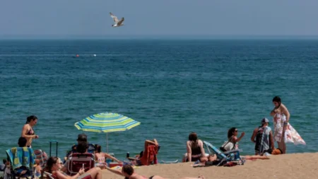 Massachusetts Beach Closures Due to High Bacteria Levels