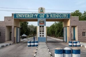 Nigerian Universities Renamed for Politicians Raise Concerns