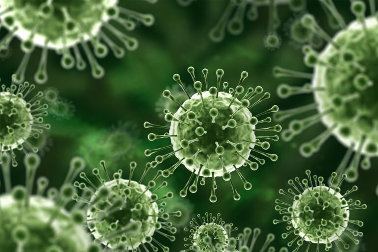 Nipah virus