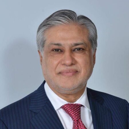 Pakistani FM Demands Gaza Ceasefire, Palestinian Statehood