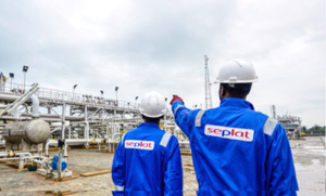Seplat Energy Boosts Media Entrepreneurship with Journalist Training