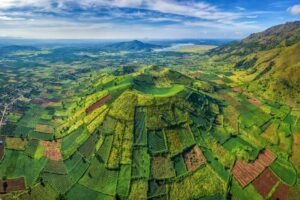 Vietnam National Authority of Tourism