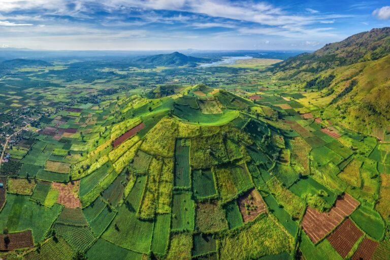 Vietnam National Authority of Tourism