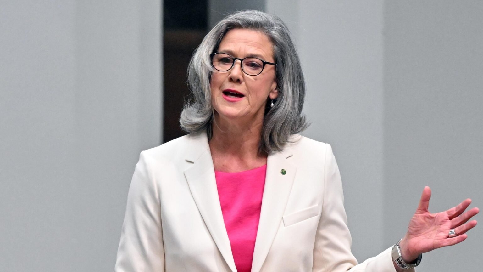 Nicolette Boele Criticizes Parliament’s Lack of Ambition Nicolette Boele Criticizes Parliament’s Lack of Ambition