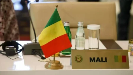 France-Mali Citizen Arrest Talks