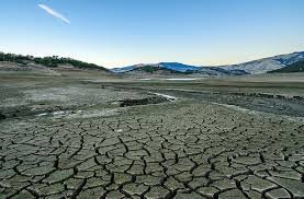 Oregon Drought Disaster Relief Available for Small Businesses