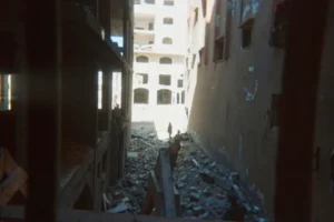 US Confirms Israeli Human Shields Evidence