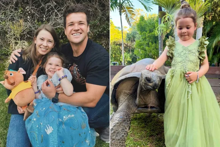 Bindi Irwin’s Daughter Bonds with Tortoise