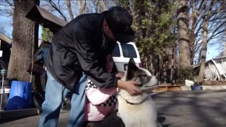 California Dog Reunited With Family
