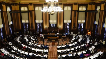 Georgia Lawmakers Seek DHS Audit