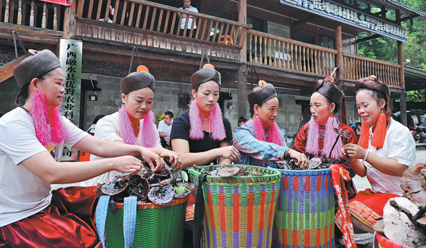 Guangxi Rural Forestry Loan Support Grows