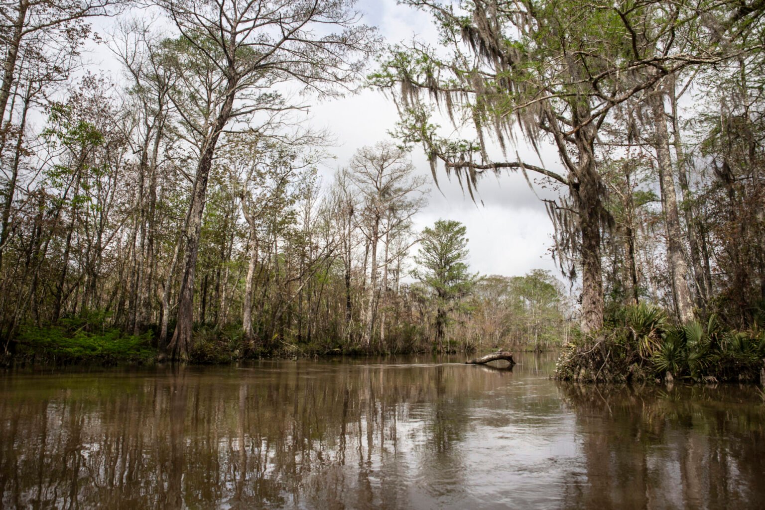 Mississippi Tops Environmental Budget Cuts