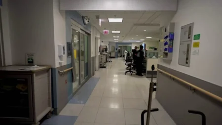 New York flu hospitalizations