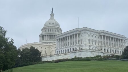 US House Sees Record Year of Censures