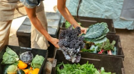 Wisconsin Food Security Efforts 2025 Wisconsin Food Security Efforts 2025