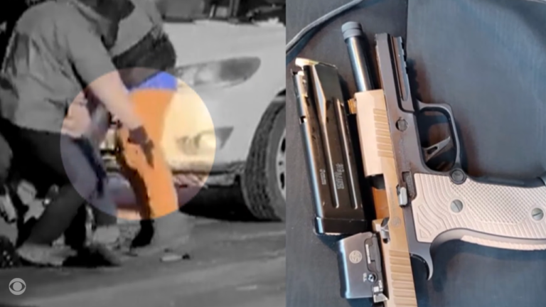 2 Agents Fired During Alex Pretti Shooting