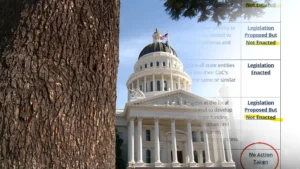 California Lawmakers Ignore Audit Warnings