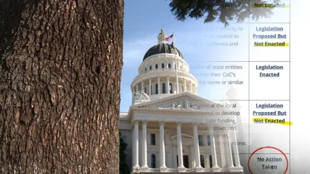 California Lawmakers Ignore Audit Warnings