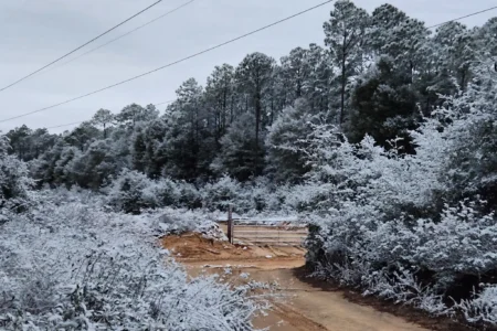 Rare Southern Snowfall Surprises US, Melts Fast Rare Southern Snowfall Surprises US, Melts Fast
